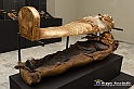 VBS_5152 - Tutankhamon - Viaggio verso l'eternità
